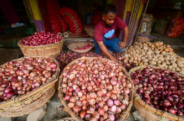 onion production