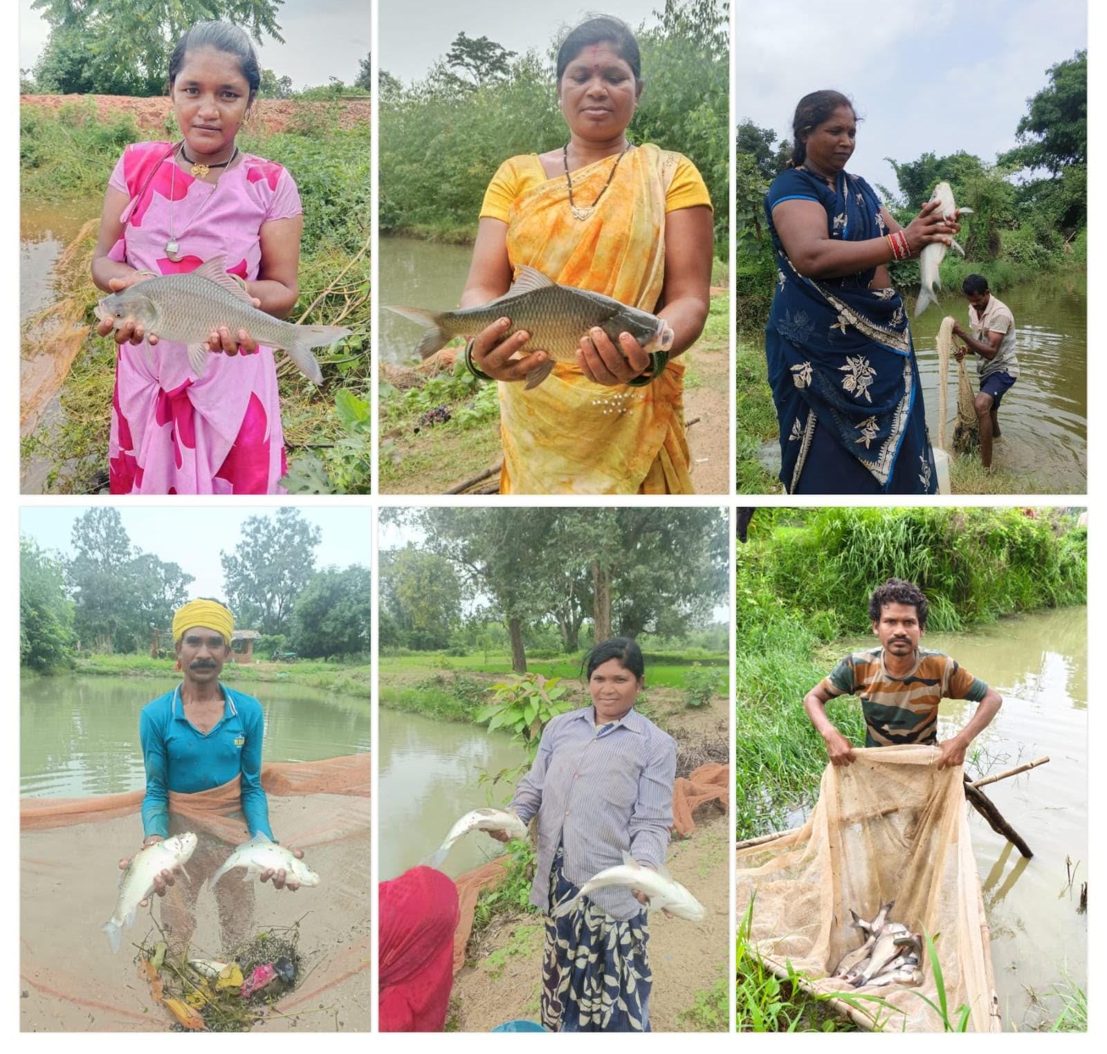 Dabri Construction: Flowing water becomes a source of income; over 200 farm ponds in Kukrail have transformed villagers' lives, while fish and shrimp farming in these ponds has boosted the supplementary income of rural families.