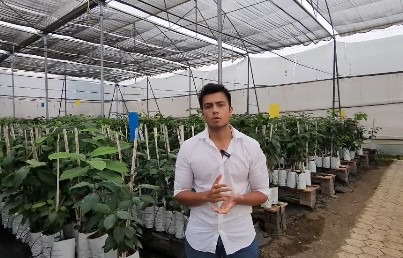 Harshit Godha, upon returning from the UK, spotted a major opportunity in avocados; he started his journey with ₹50 lakh and built a business worth ₹1 crore.
