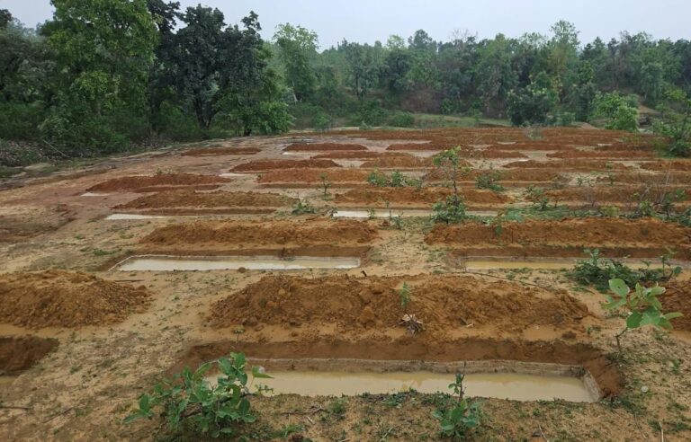 water conservation