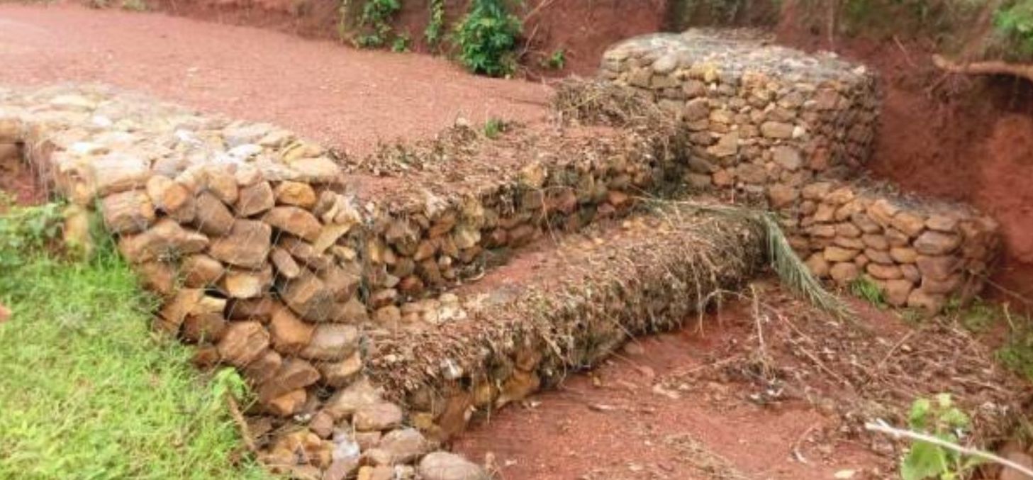 Gabion check dam stops
