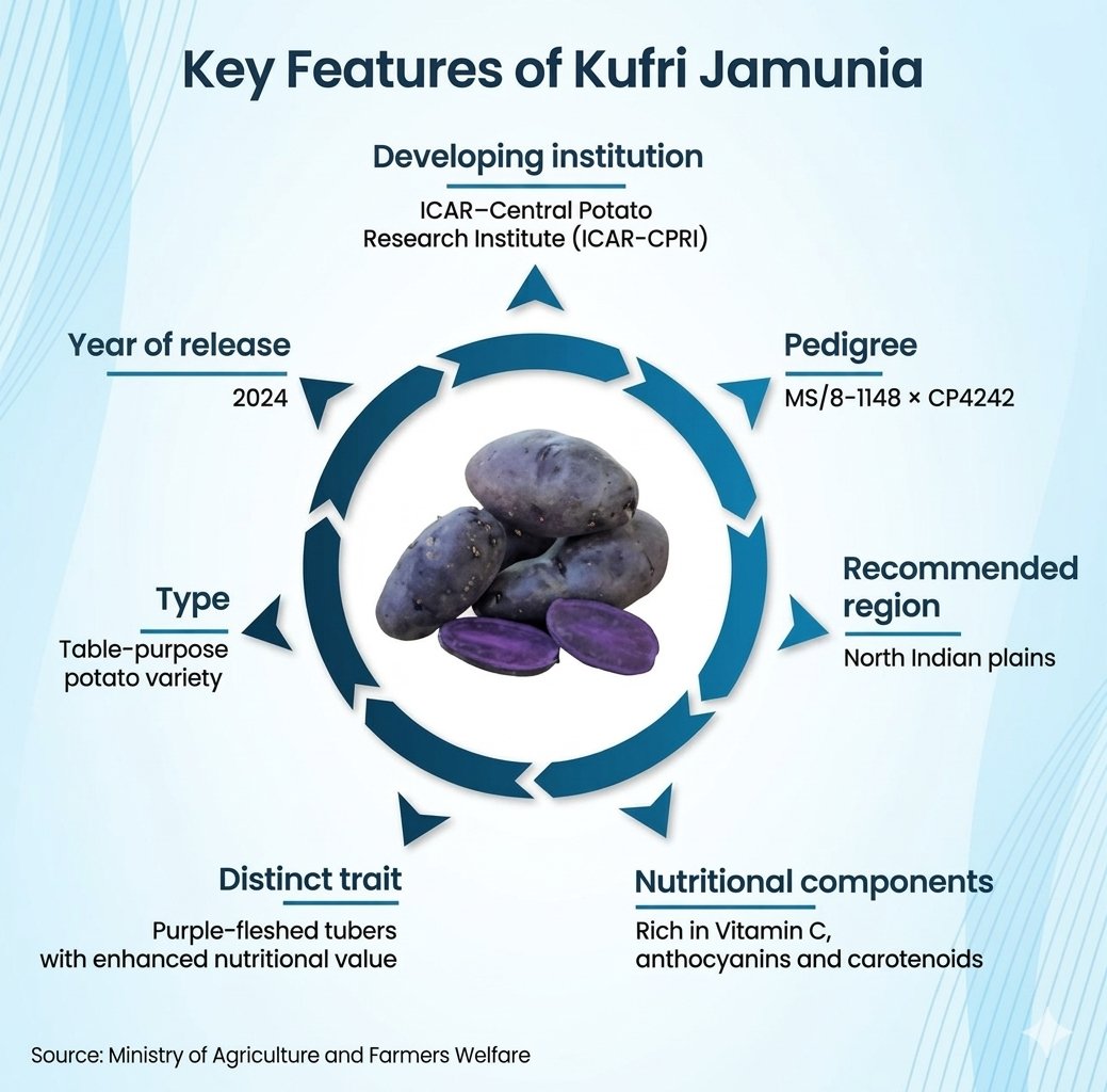 Kufri Jamunia
