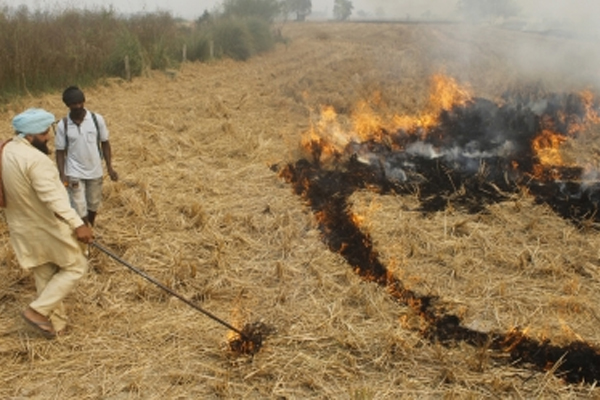Punjab