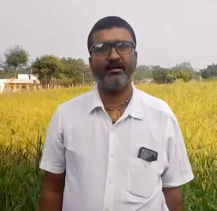 Millet Cultivation