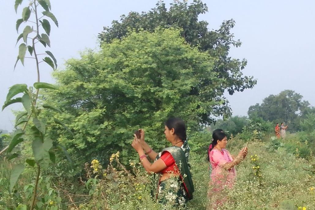 Bird Walk