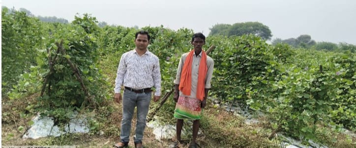 Farmer Income Increase