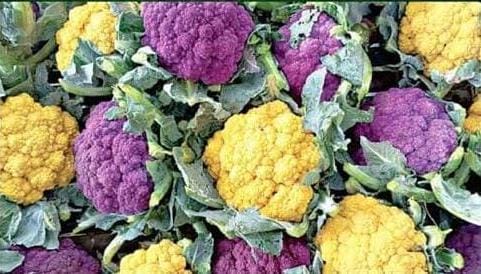 cauliflower