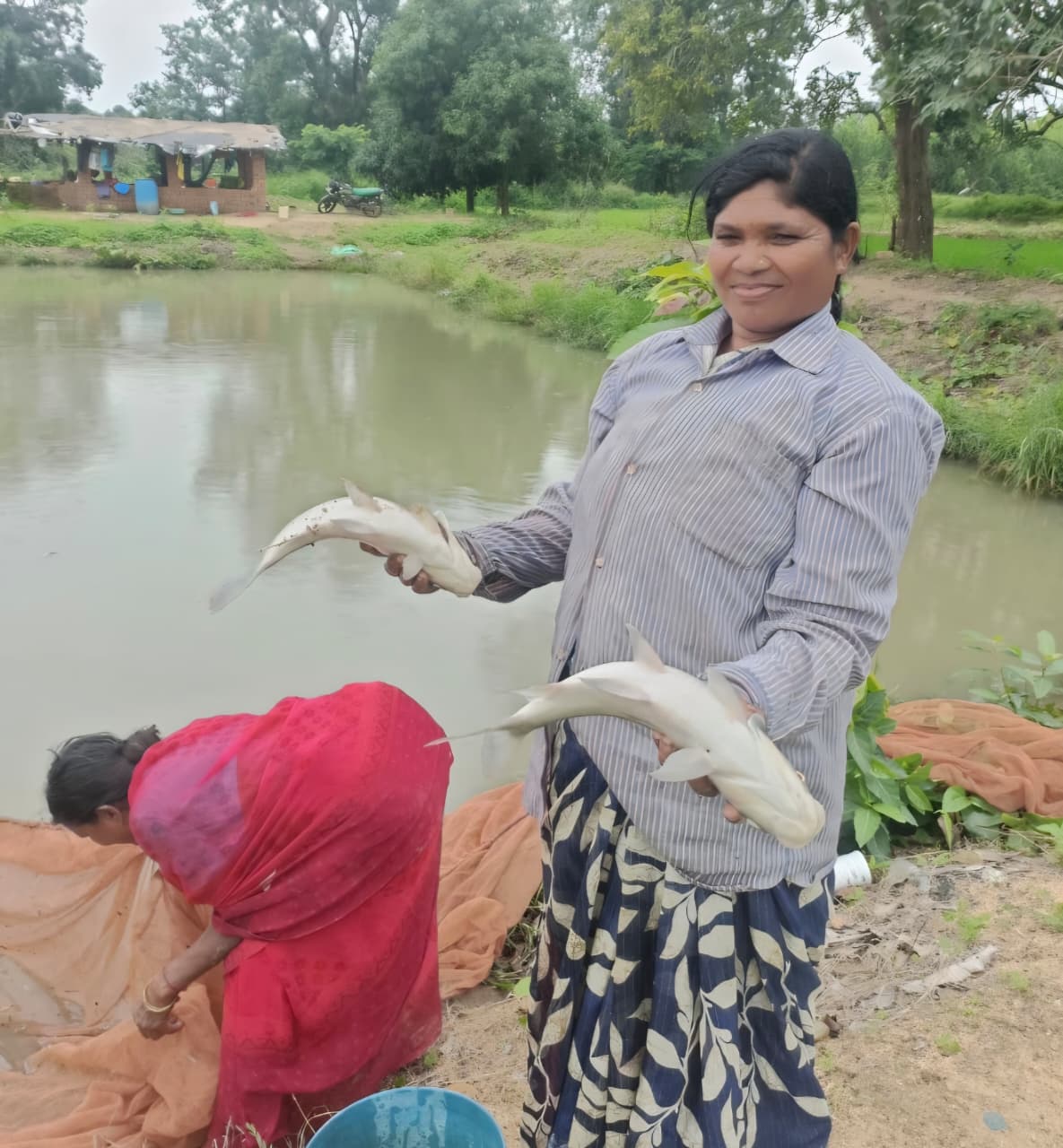 fish farming